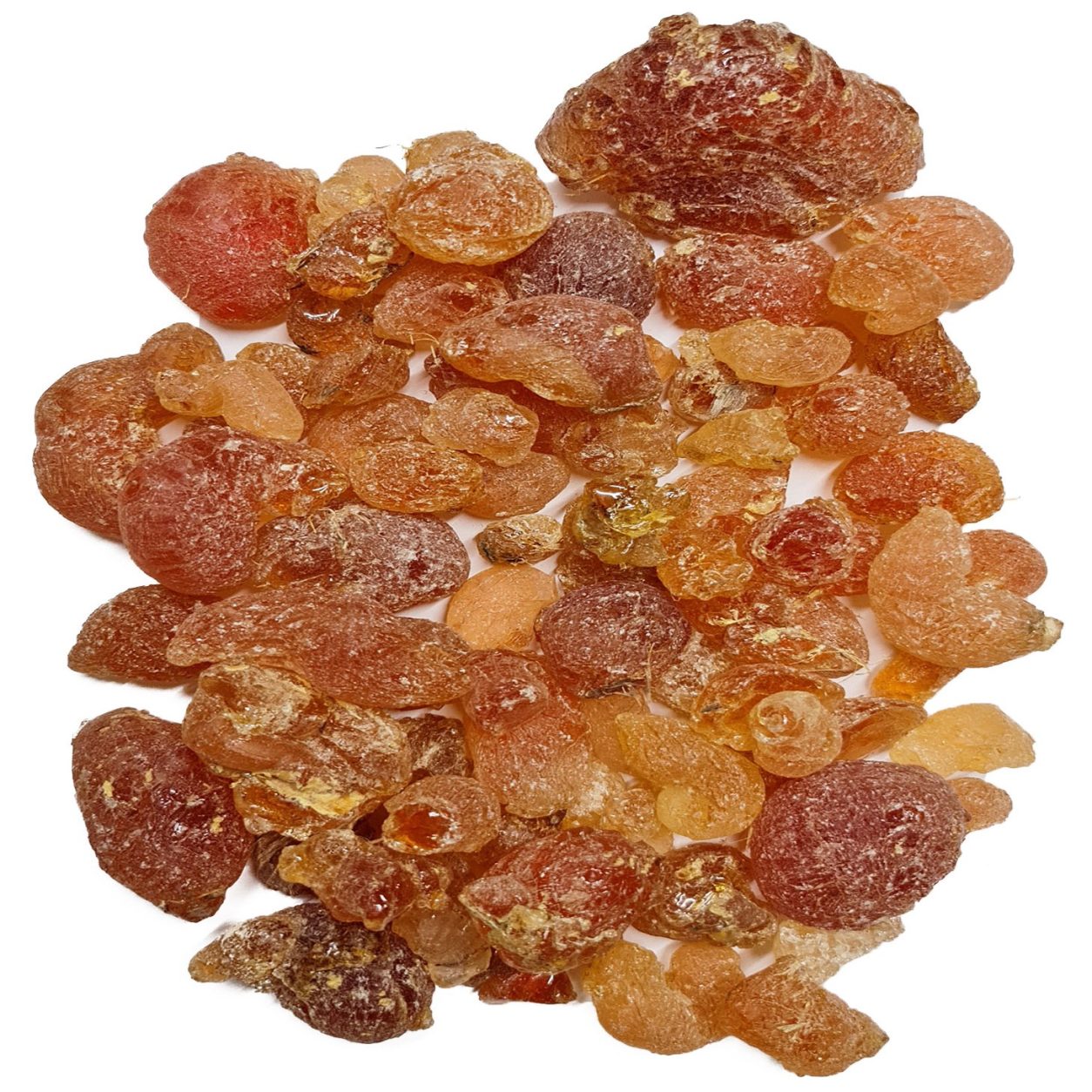 gum3